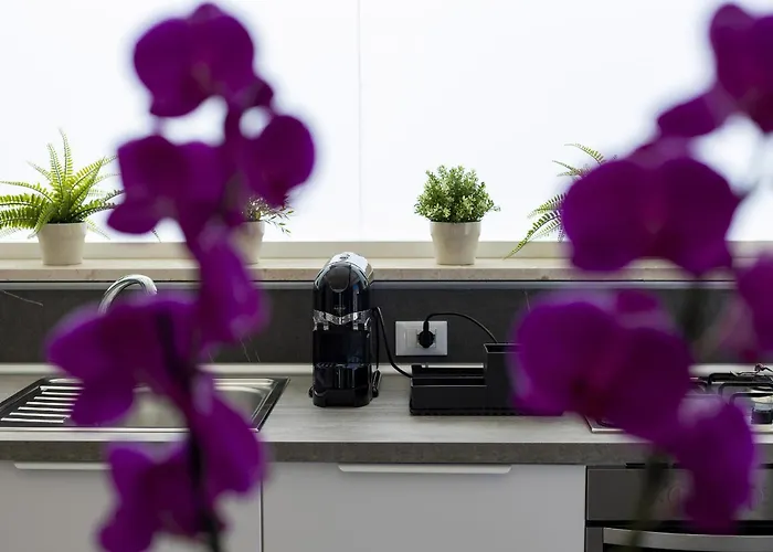 Acquaro Suite Apartments